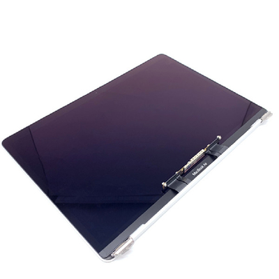 LCD het Scherm van de Macbook Aira2179 Vervanging 13,3 duim